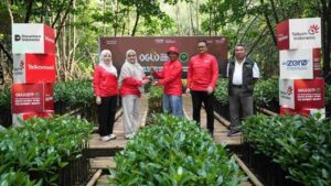 Telkomsel Tanam 1.000 Mangrove di Angke Dari Ribuan Langkah Digiland Run