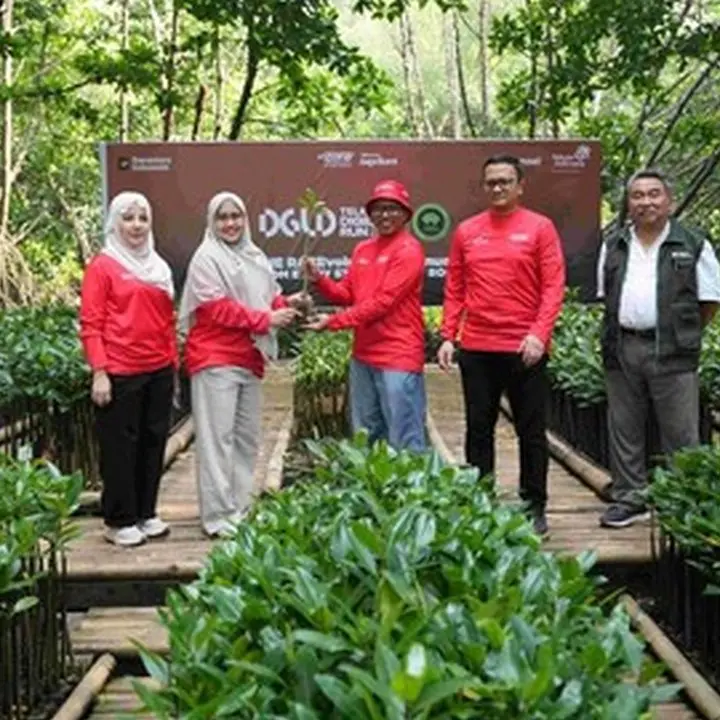 Telkomsel Tanam 1.000 Mangrove di Angke Dari Ribuan Langkah Digiland Run