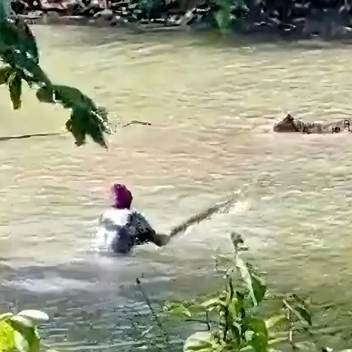 Buaya Muara Serang Ternak Warga di Sukabumi, Situ Habibie Diwaspadai