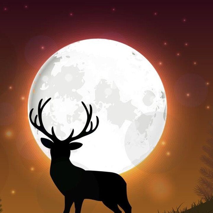Bulan Purnama Juli: Kenali Waktu Terbaik dan Tips Mengamatinya