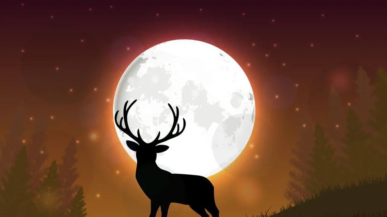 Bulan Purnama Juli: Kenali Waktu Terbaik dan Tips Mengamatinya