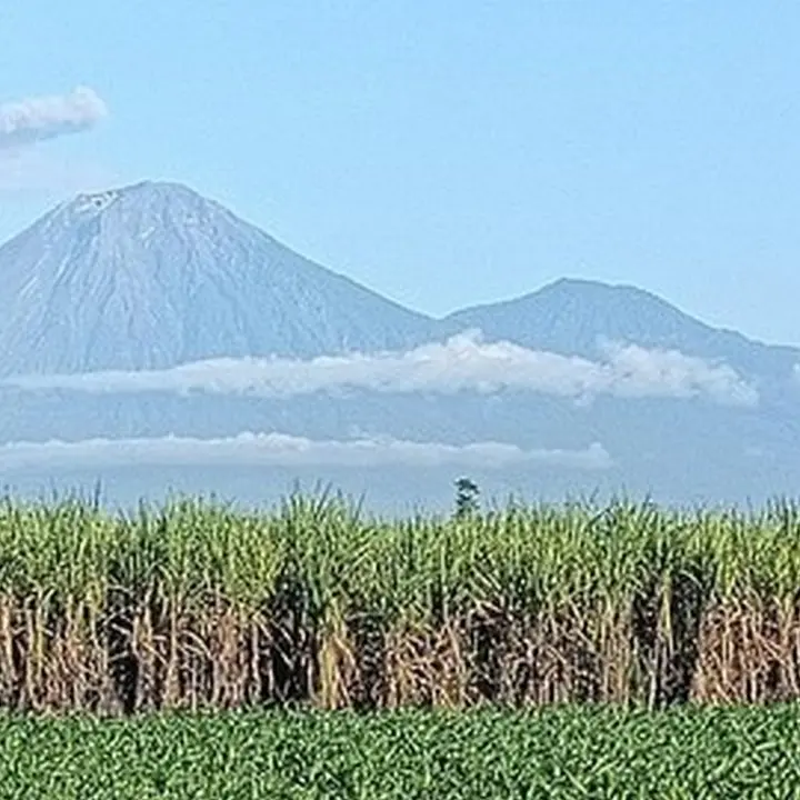 TNBTS Tutup Jalur Pendakian Semeru 7–18 Agustus Untuk Hari Raya Karo