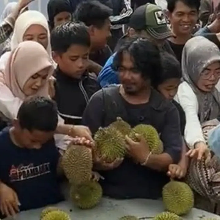 Penonton Geram, Festival Durian Enrekang Kembali Uang Tiket Setelah Banyak Pembeli Tak Kebagian