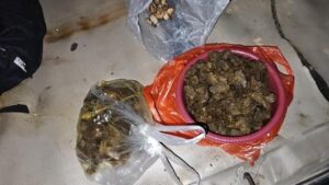 Polisi Tangkap Empat Tersangka Pembunuhan Tapir di Mesuji, Daging Dimasak Rica-Rica