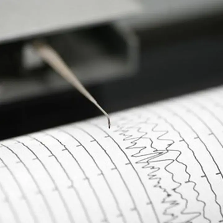 BMKG Catat Gempa M 4,7 Berpusat Di Darat Dekat Sarmi