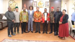 DPD: Kekerasan di Papua Harus Diselesaikan Lewat Pendekatan Menyeluruh