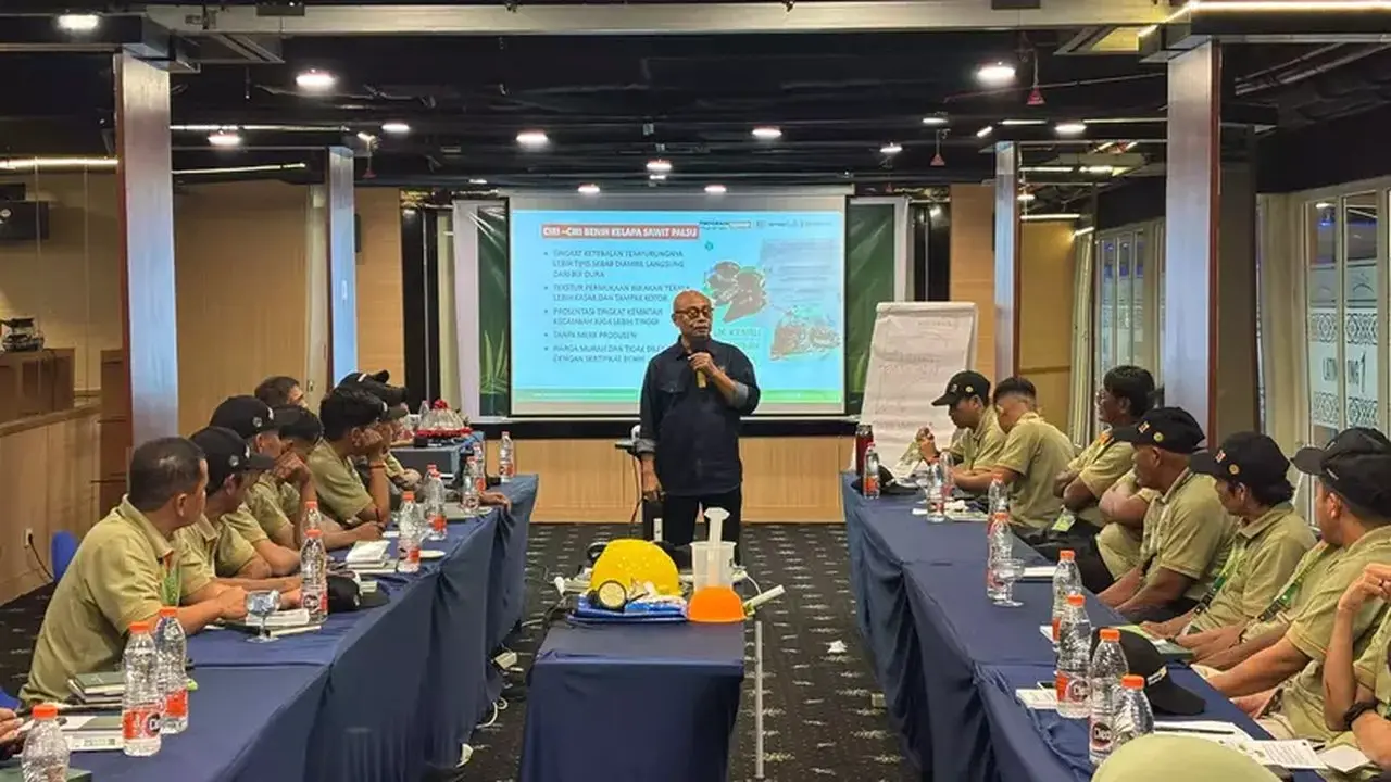 Hadapi El Nino, Pekebun Sawit Bisa Tingkatkan Produktivitas Lewat Teknik Tepat