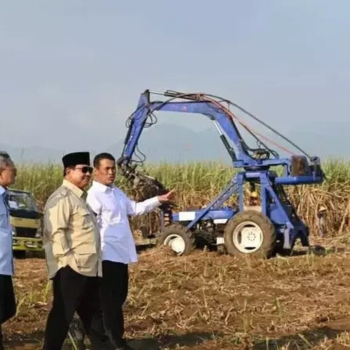 Indonesia Percepat Transisi Energi: Perkebunan Tebu Diremajakan untuk Program Bioetanol E20