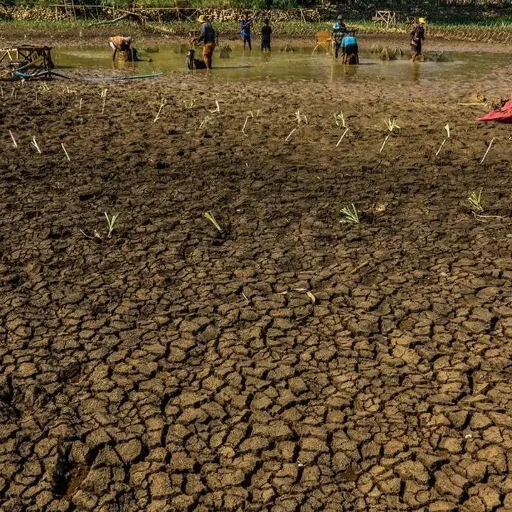Kekeringan Parah di Gunungkidul, Warga Terpaksa Jual Ternak Demi Air Bersih