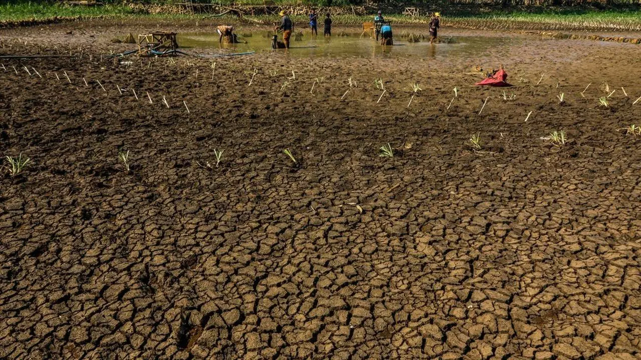 Kekeringan Parah di Gunungkidul, Warga Terpaksa Jual Ternak Demi Air Bersih