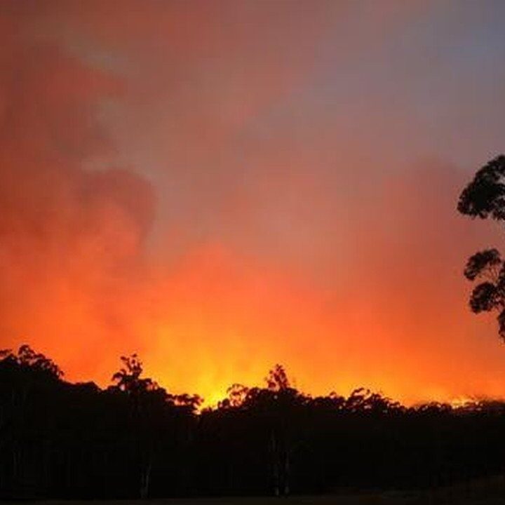 Kilau Api di “Black Saturday”: Kebakaran Hutan Victoria 2009