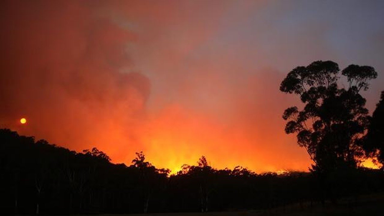 Kilau Api di "Black Saturday": Kebakaran Hutan Victoria 2009