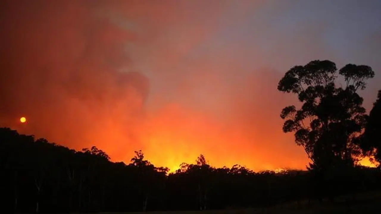 Kilau Api di "Black Saturday": Kebakaran Hutan Victoria 2009