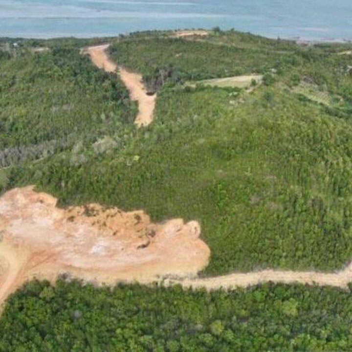 KPKNL Kepri Tetapkan PT GTP sebagai Tersangka Perambahan Hutan Lindung