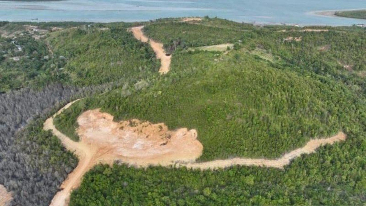 KPKNL Kepri Tetapkan PT GTP sebagai Tersangka Perambahan Hutan Lindung