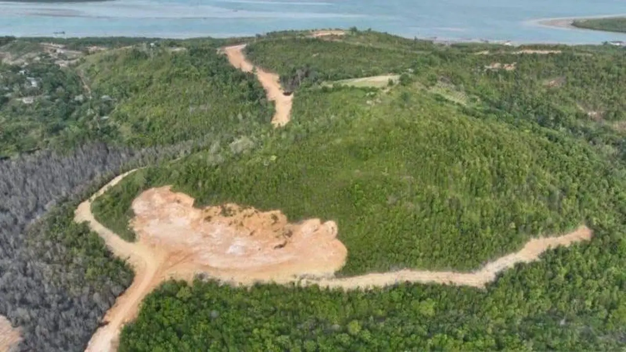 KPKNL Kepri Tetapkan PT GTP sebagai Tersangka Perambahan Hutan Lindung