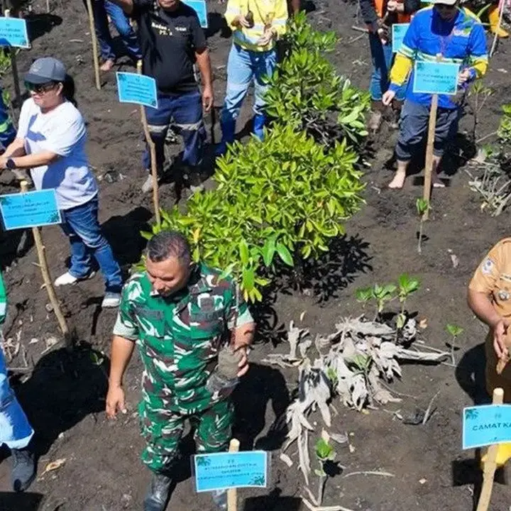 NHM dan Pemda Halut Bersinergi Lakukan Penanaman Mangrove di Halmahera Utara
