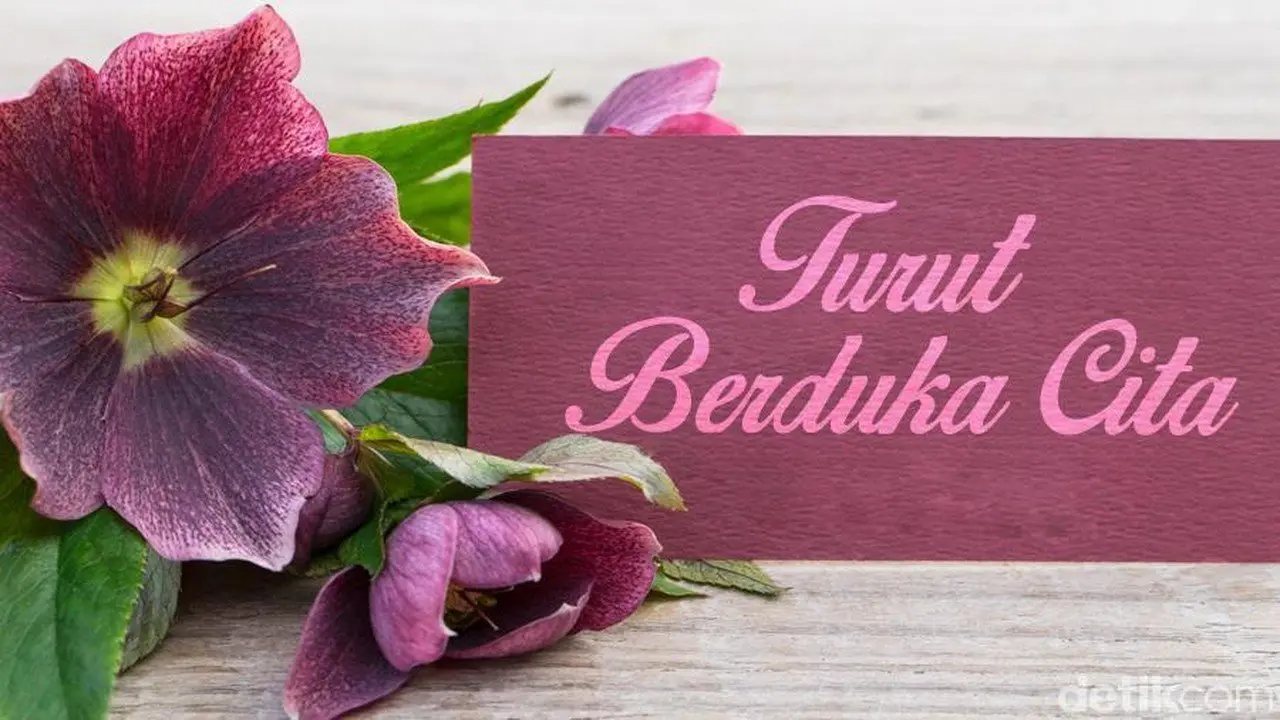 Prof. Bachtiar Aly, Mantan Dubes RI untuk Mesir, Berpulang