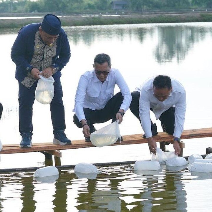 Satgas PRR Genjot Ekonomi Aceh: Tambak Beroperasi, Bibit Kopi Dibagikan