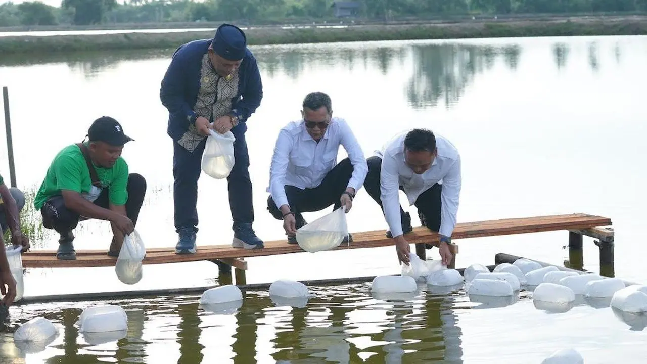 Satgas PRR Genjot Ekonomi Aceh: Tambak Beroperasi, Bibit Kopi Dibagikan