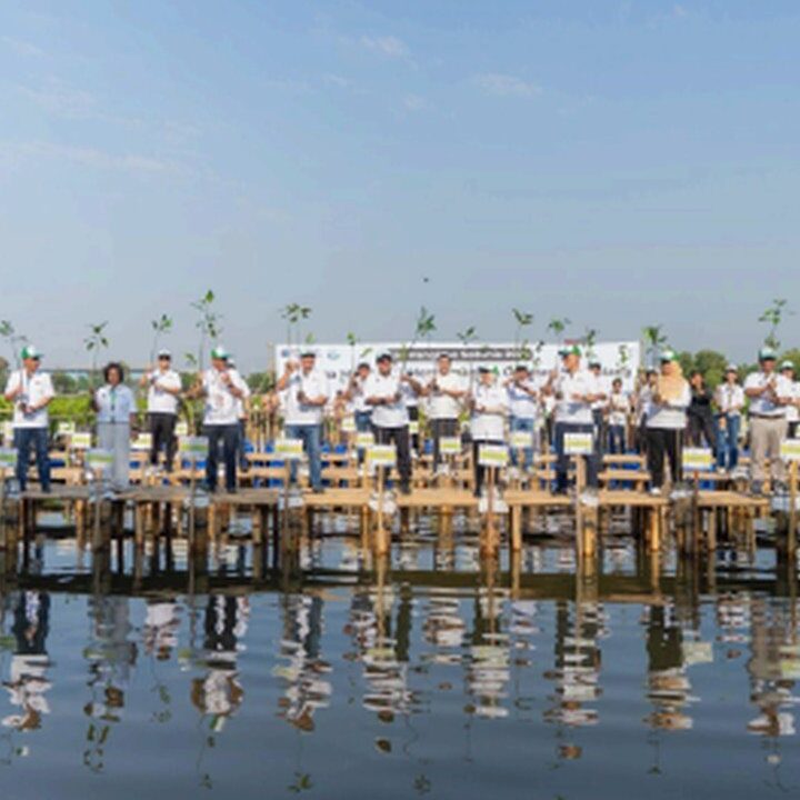 Shopee Ajak 50.000 Pengguna Tanam 2.000 Mangrove di Jakarta