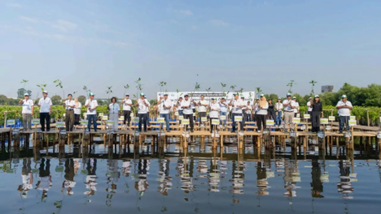 Shopee Ajak 50.000 Pengguna Tanam 2.000 Mangrove di Pesisir Jakarta