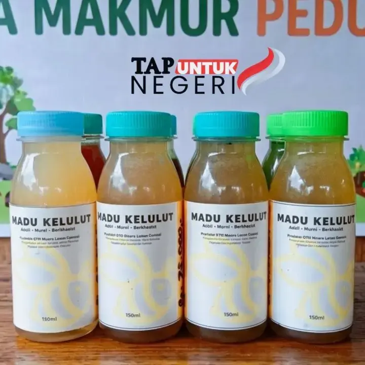 TAP Untuk Negeri Fasilitasi UMKM Madu Kelulut Muara Lesan Raih Pasar Lebih Luas