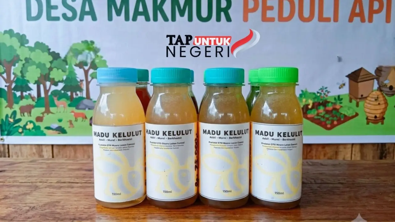 TAP Untuk Negeri Fasilitasi UMKM Madu Kelulut Muara Lesan Raih Pasar Lebih Luas