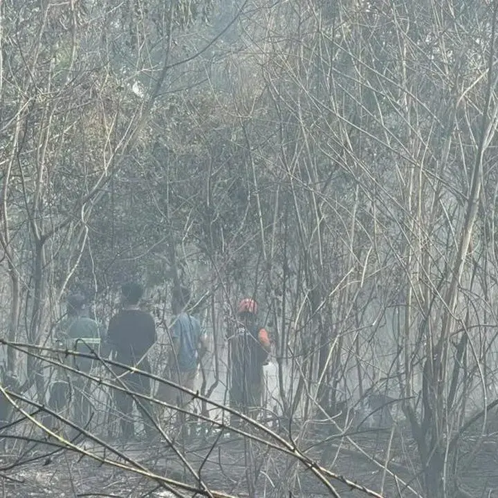 72 Tersangka Karhutla Terungkap, Bakar Lahan Demi Biaya Operasional Murah