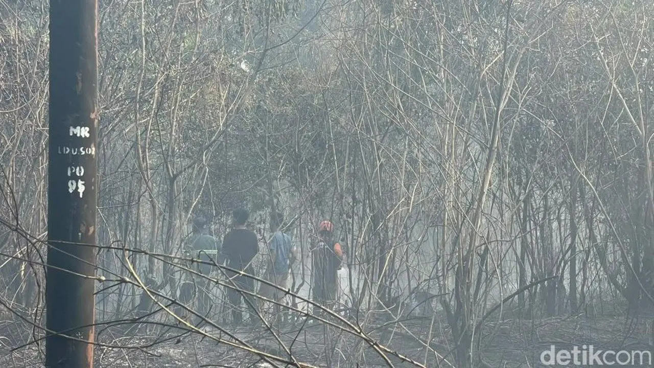 72 Tersangka Karhutla Terungkap, Bakar Lahan Demi Biaya Operasional Murah