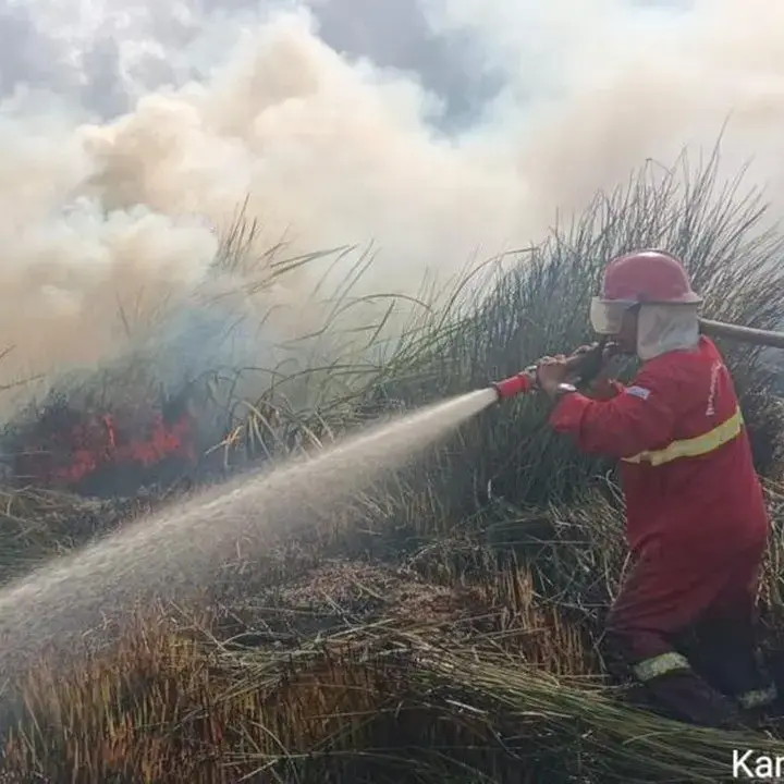 BNPB: Hampir 9.000 Hektare Lahan Terbakar di Kalsel, Ribuan Personel Dikerahkan