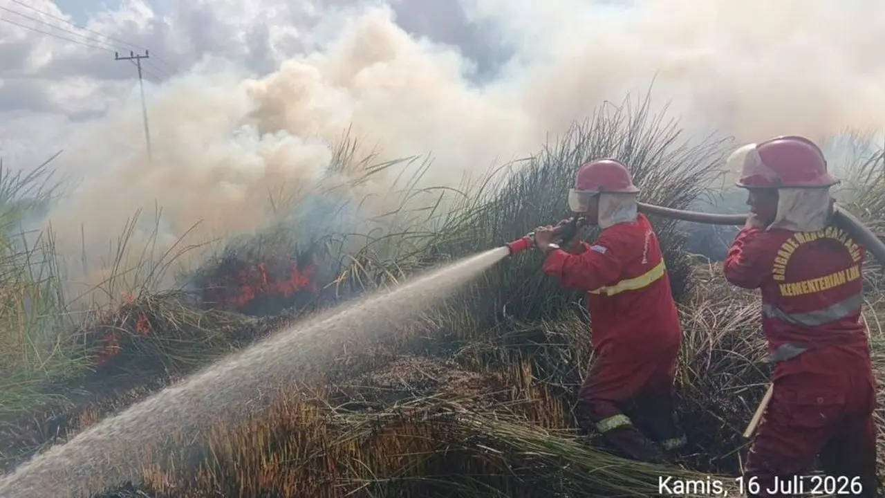 BNPB: Hampir 9.000 Hektare Lahan Terbakar di Kalsel, Ribuan Personel Dikerahkan