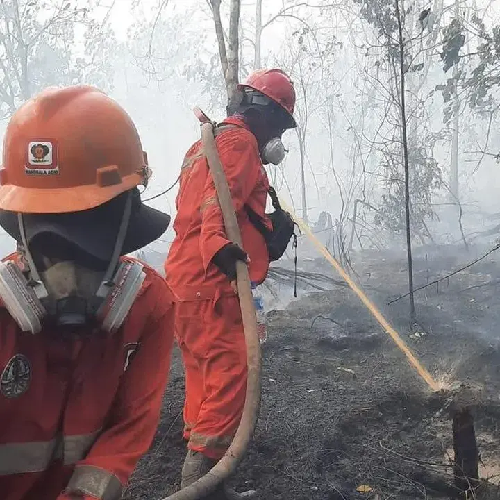 DPR Mendesak Status Bencana Nasional untuk Karhutla Kalimantan