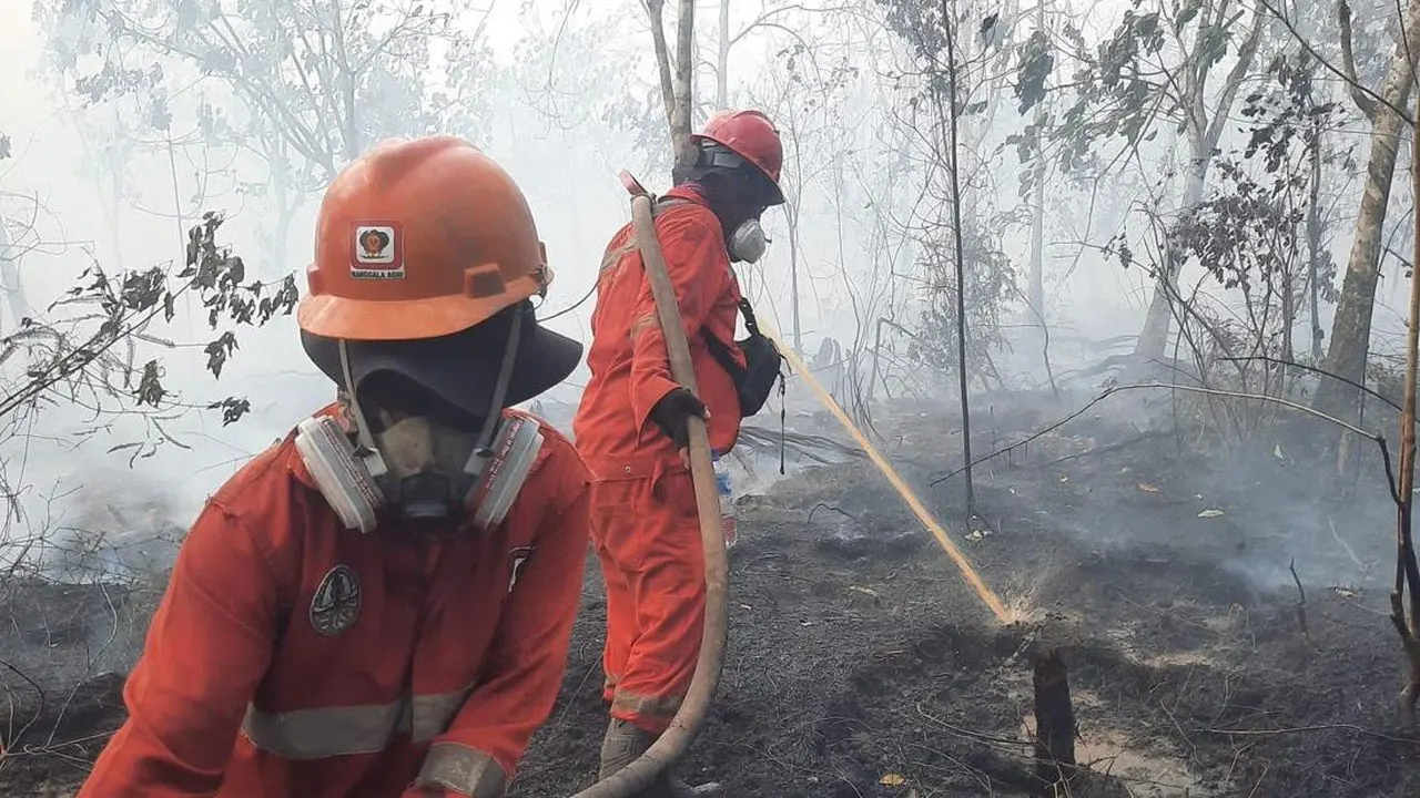 DPR Mendesak Status Bencana Nasional untuk Karhutla Kalimantan