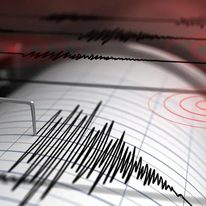Gempa Flores M 7,7: 2.119 Gempa Susulan, 68 Meninggal Dunia