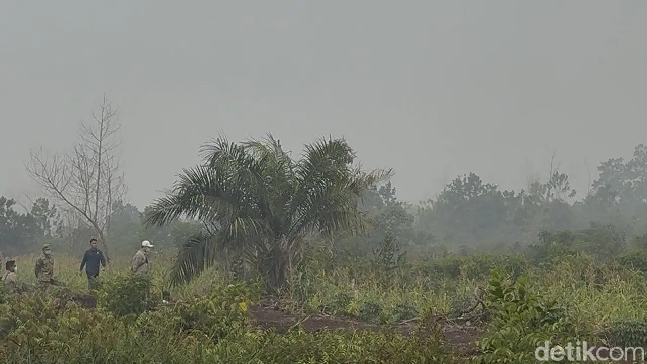 Kabut Asap Karhutla Selimuti Langit Sungai Raya, Warga Hirup Aroma Bakaran Daun