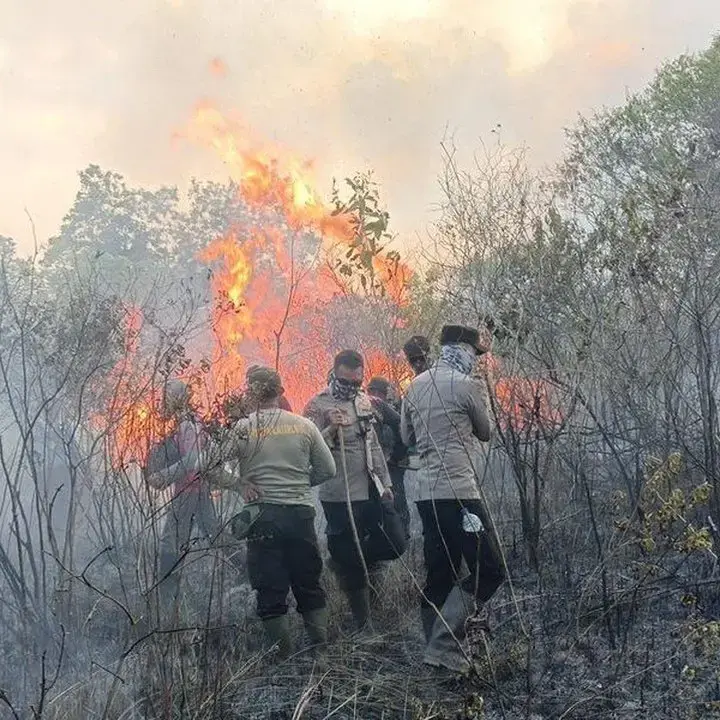 Karhutla Melanda Way Kambas: 673 Hektare Terbakar, Api Terus Merembet