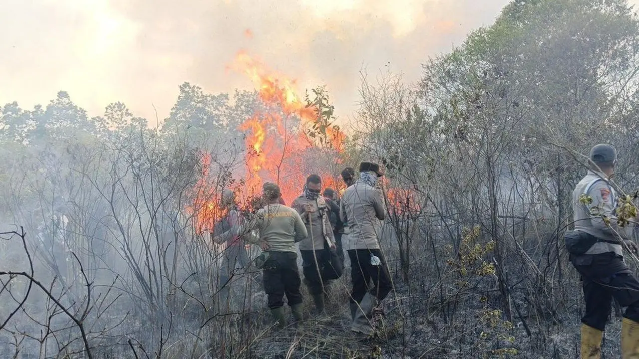 Karhutla Melanda Way Kambas: 673 Hektare Terbakar, Api Terus Merembet