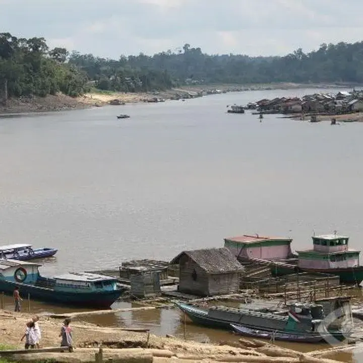 Kemarau Ekstrem, Sungai Barito Menyusut Drastis hingga Muncul Hamparan Pasir