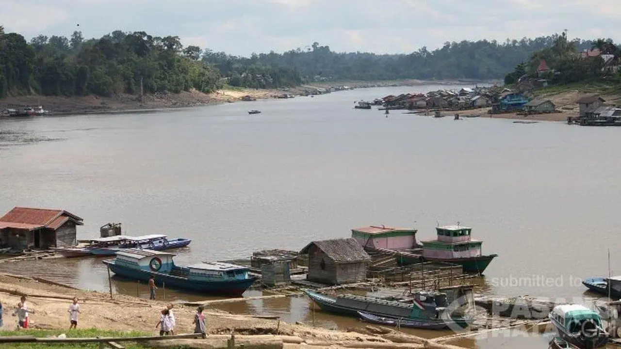 Kemarau Ekstrem, Sungai Barito Menyusut Drastis hingga Muncul Hamparan Pasir