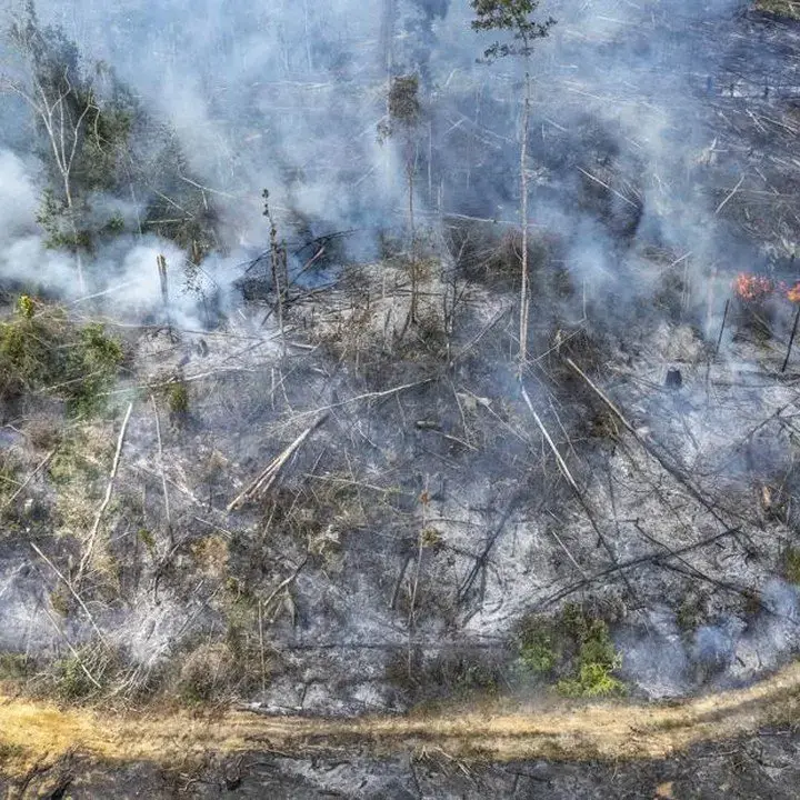 Mendagri Terbitkan Instruksi Larangan Mutlak Pembukaan Lahan dengan Bakar