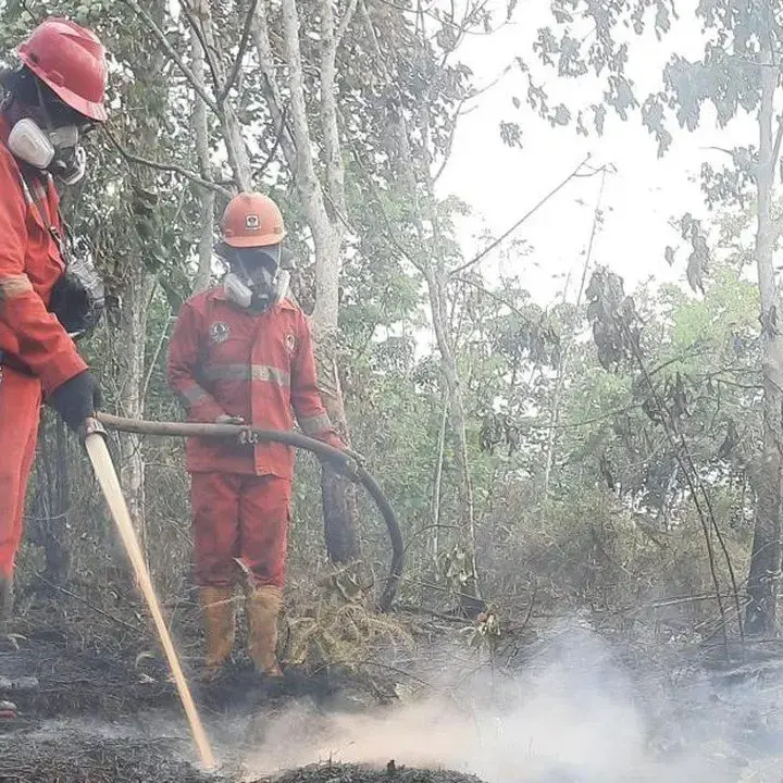 Modifikasi Cuaca dan Penambahan Armada Udara untuk Atasi Karhutla Kalimantan