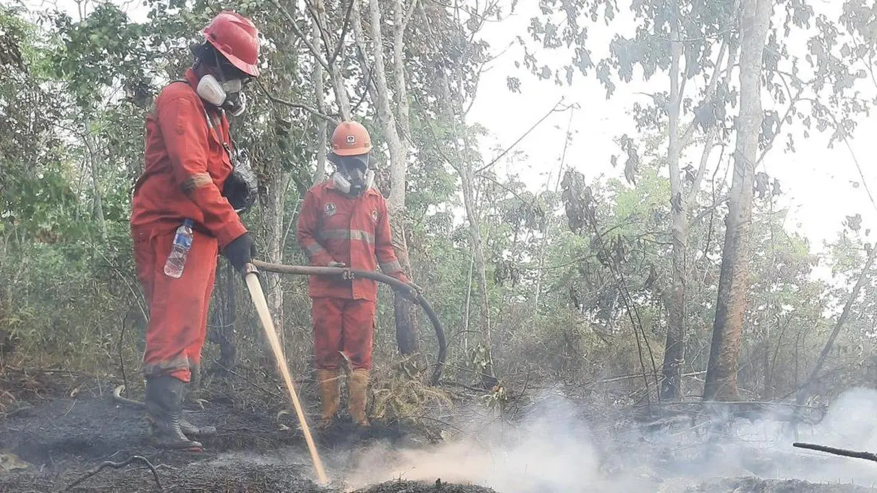 Modifikasi Cuaca dan Penambahan Armada Udara untuk Atasi Karhutla Kalimantan