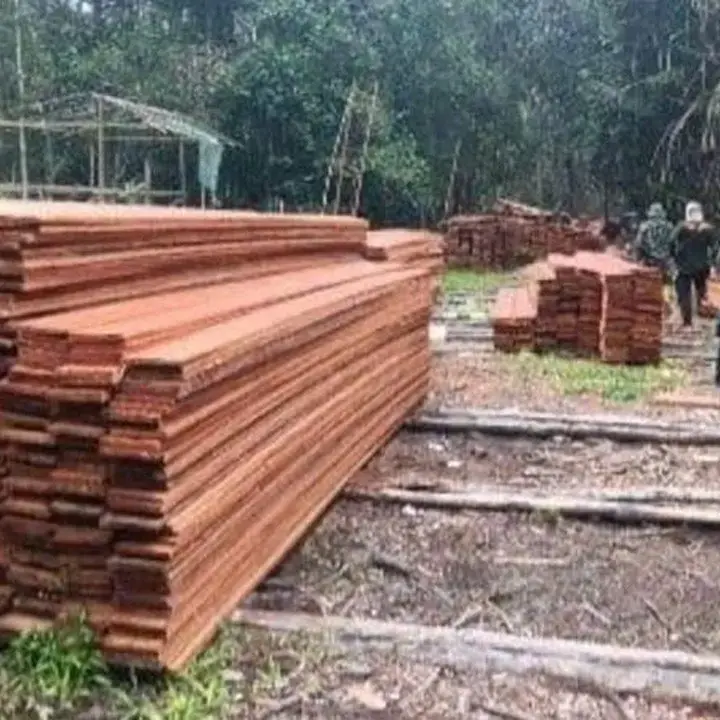 Pembalakan Liar di Suaka Margasatwa Kerumutan Riau Dibongkar, 6 Tersangka