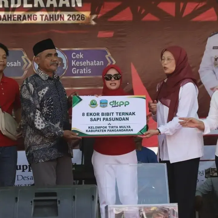 Pemprov Jabar Distribusikan 24 Ekor Bibit Sapi Potong untuk Tiga Kabupaten