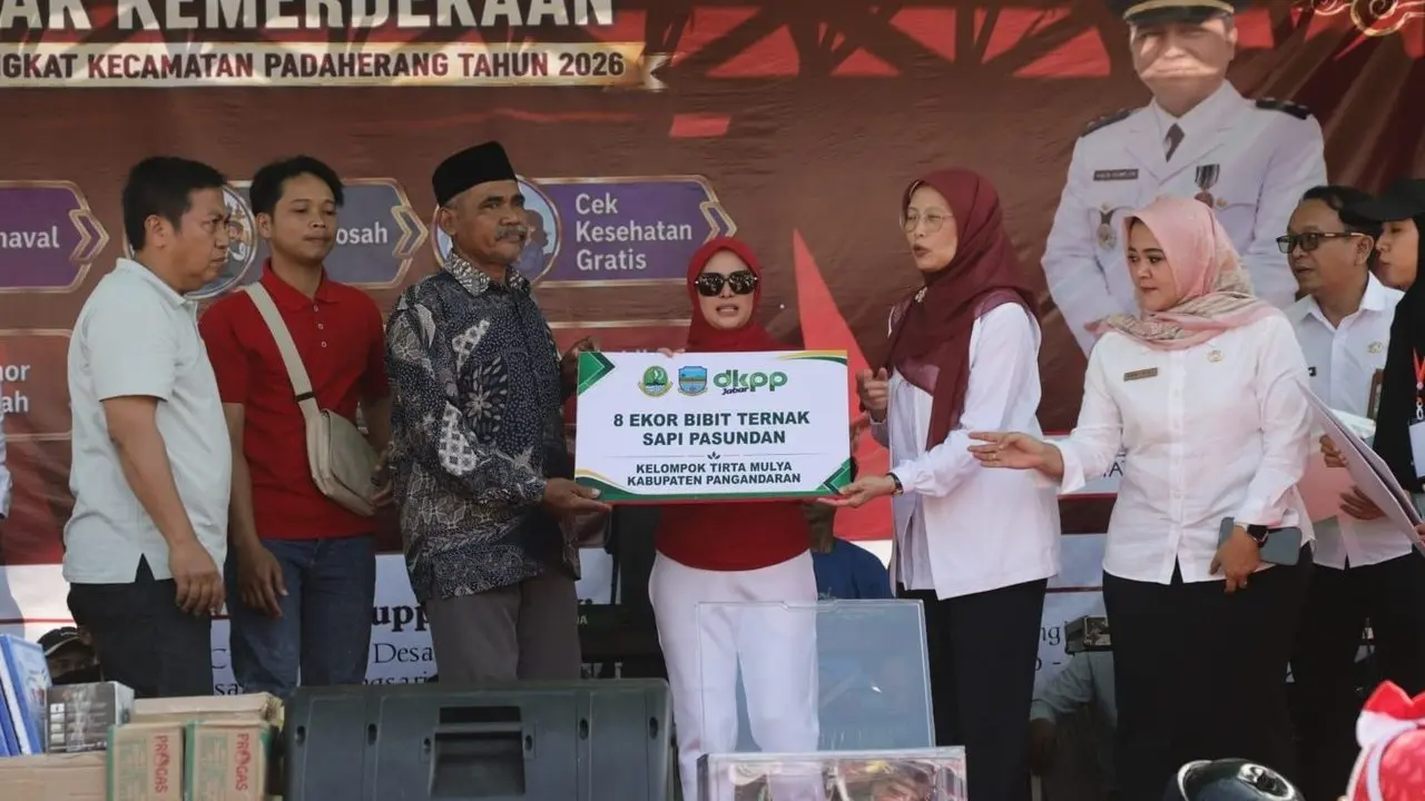 Pemprov Jabar Distribusikan 24 Ekor Bibit Sapi Potong untuk Tiga Kabupaten