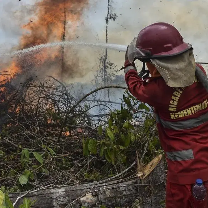 Tiga Kendala Utama Petugas Padamkan Api Karhutla