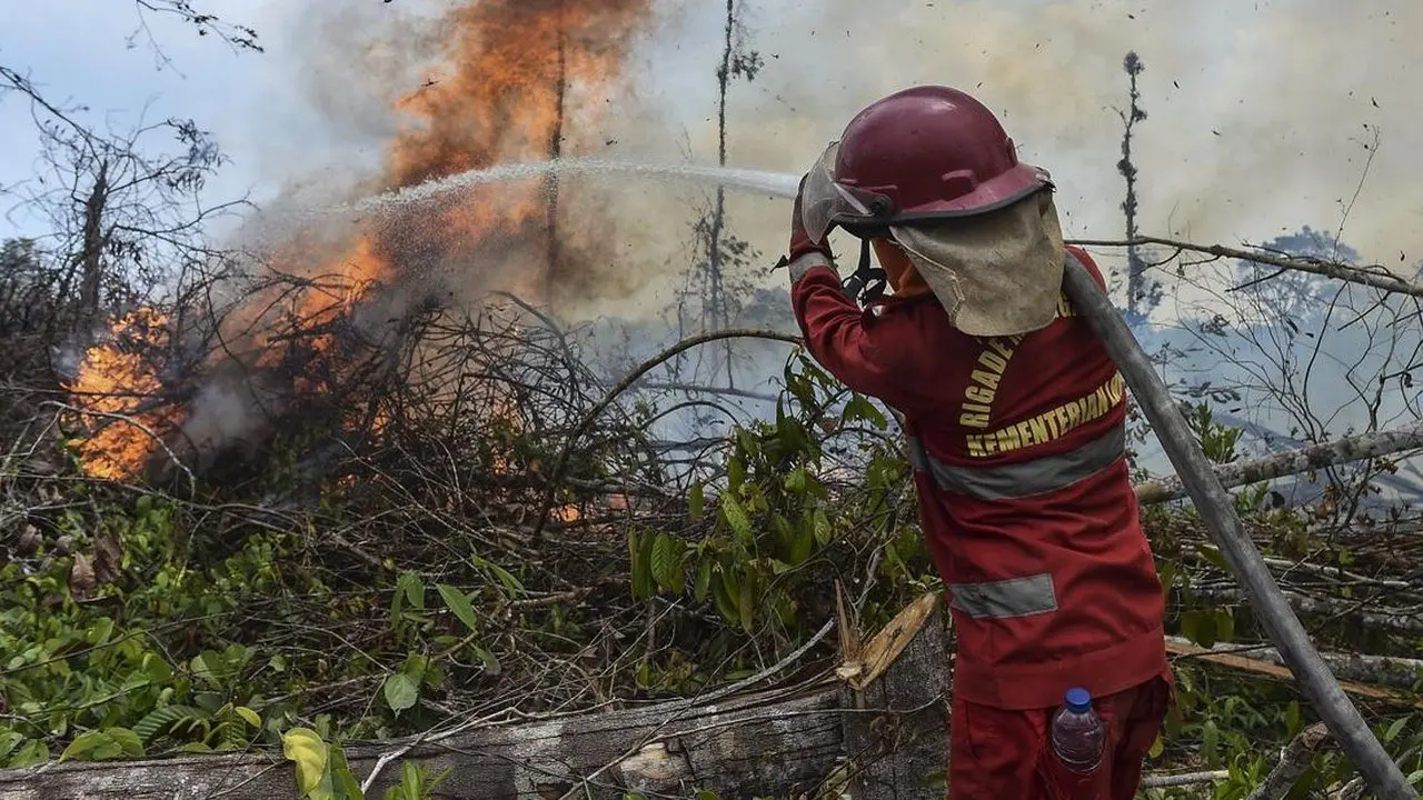 Tiga Kendala Utama Petugas Padamkan Api Karhutla