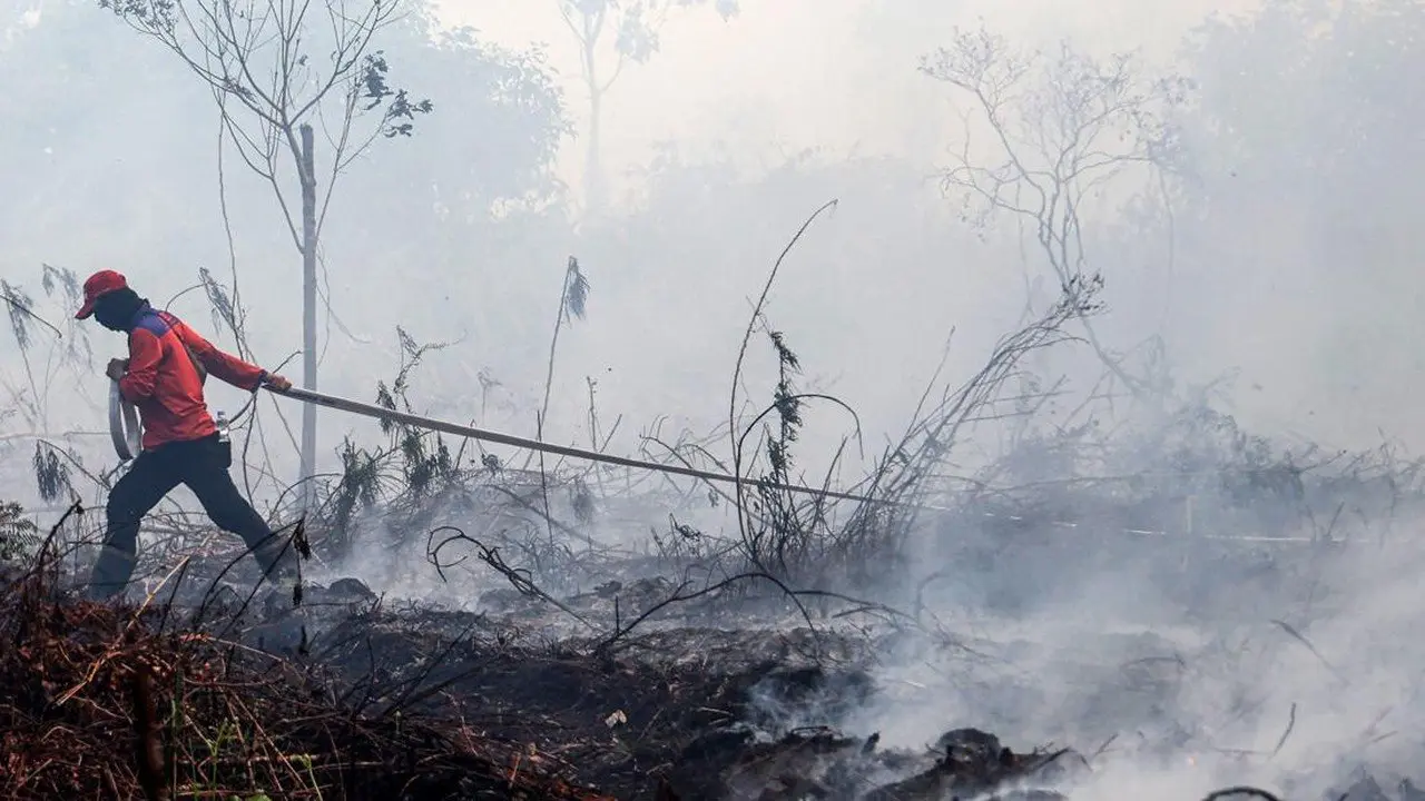 Titik Panas Karhutla di Kalimantan Meningkat, BNPB Perkuat Penanganan Udara dan Darat