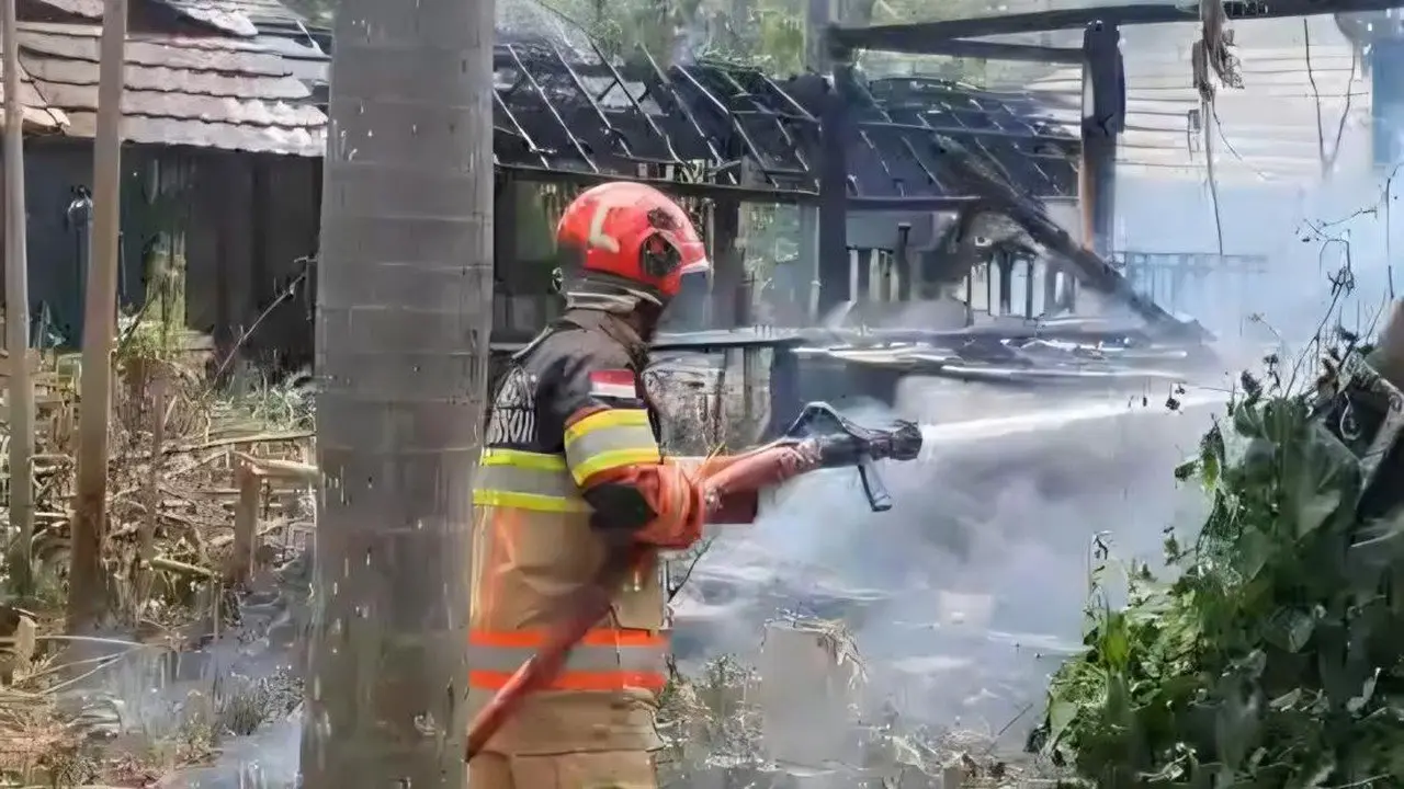 Api Membesar, Gubuk di Lahan Ilalang Bogor Ludes Terbakar